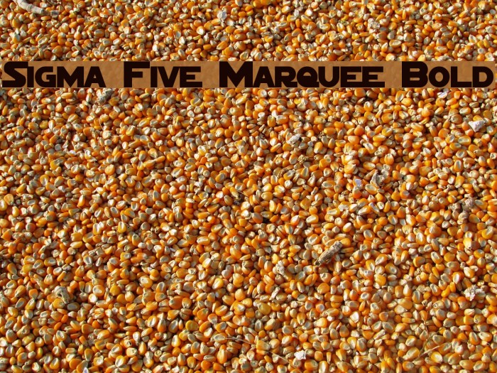 Sigma Five Marquee Bold Polices examples