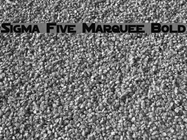 Sigma Five Marquee Bold Polices examples