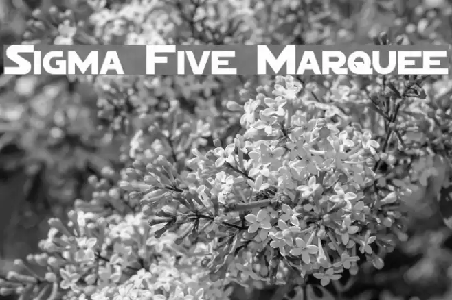 Sigma Five Marquee Font examples
