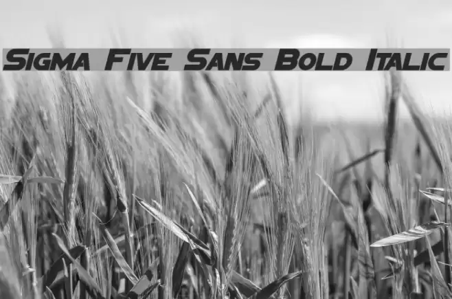 Sigma Five Sans Bold Italic examples