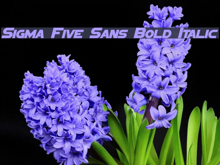 Sigma Five Sans Bold Italic Font examples