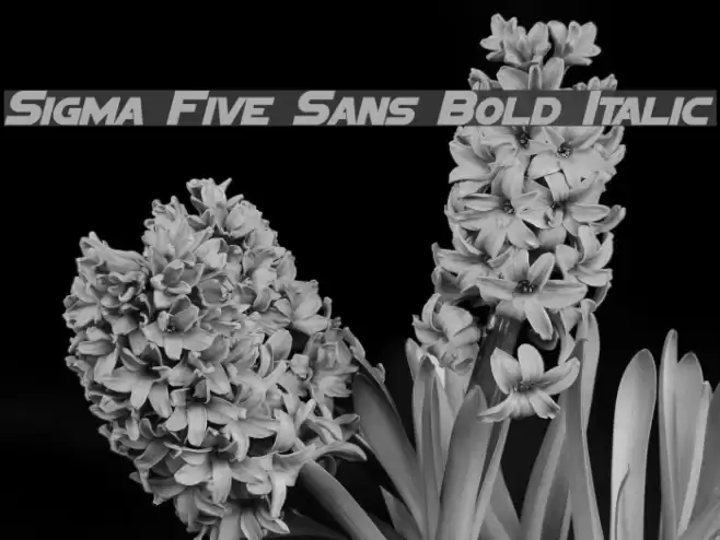 Sigma Five Sans Bold Italic examples