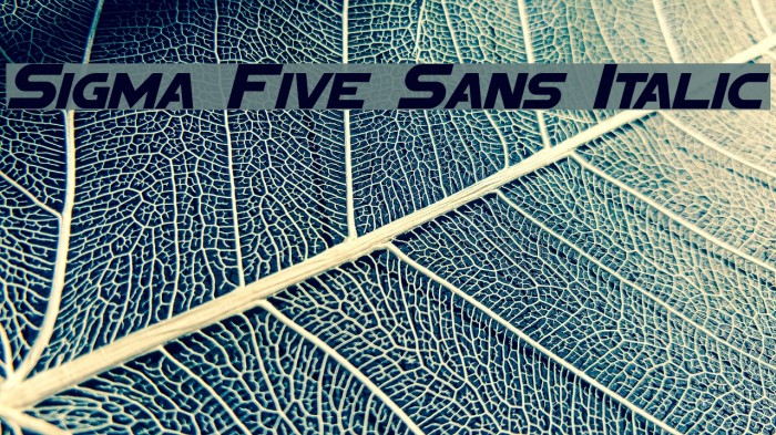 Sigma Five Sans Italic Font examples
