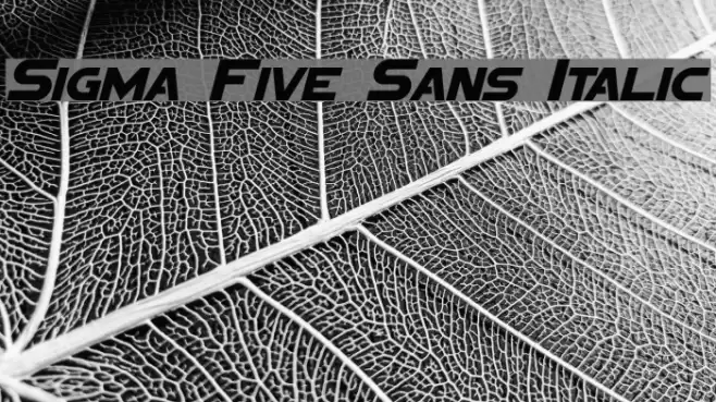 Sigma Five Sans Italic examples