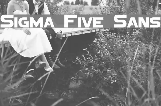 Sigma Five Sans Font examples