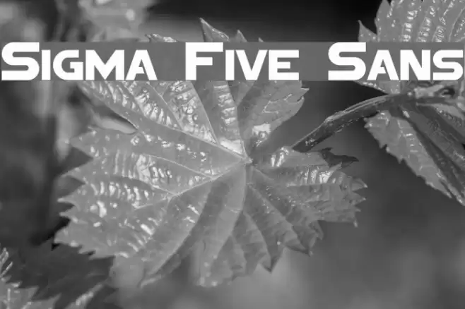 Sigma Five Sans Font examples