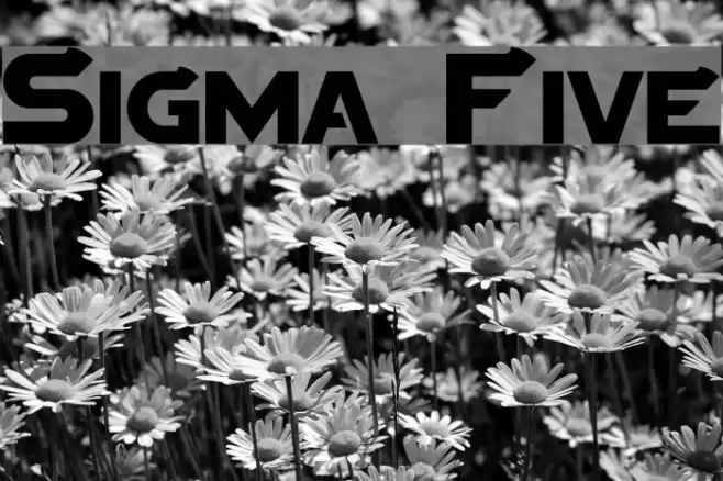 Sigma Five Font examples