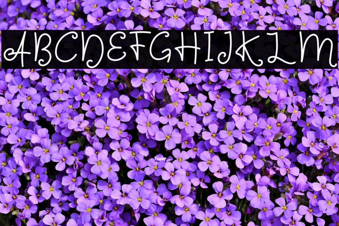 Sign Of Love Font examples