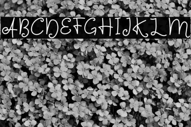 Sign Of Love Caratteri examples