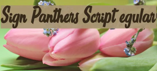 Sign Panthers Script Regular Example 3
