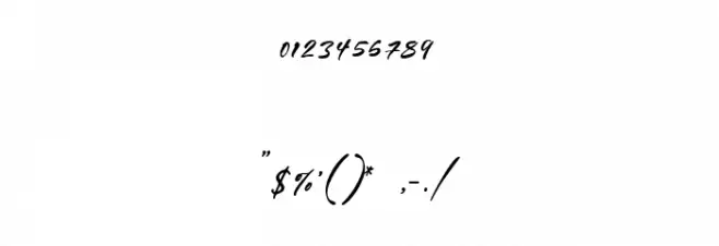 Sign Style DEMO Font OTHER CHARS