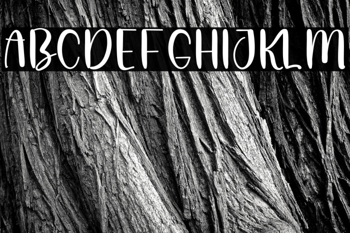 Sign Writing Example 3