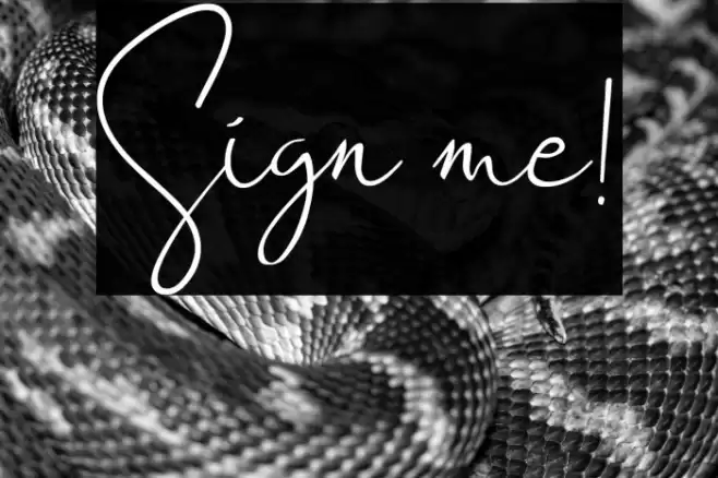 Sign me! Font examples