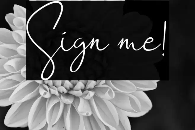 Sign me! Font examples