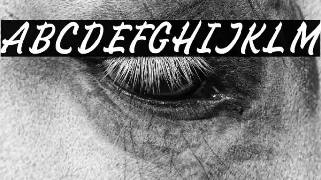 SignPaintohDemo Font examples