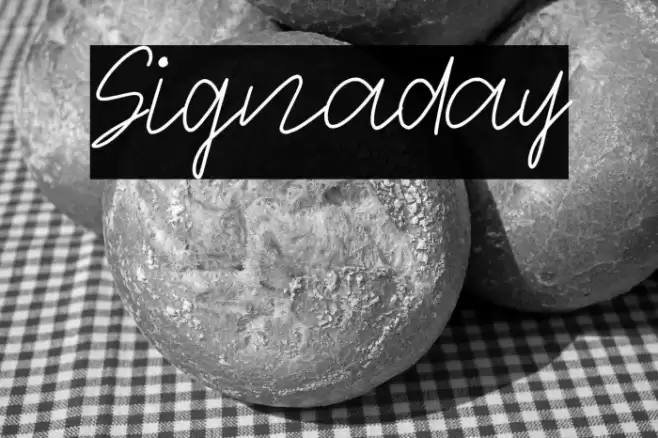 Signaday Font examples
