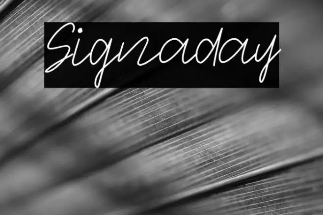 Signaday Font examples