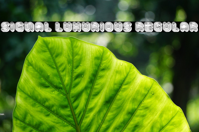 Signal Luxurious Regular Example 1