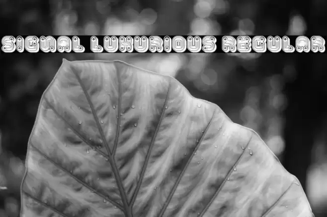 Signal Luxurious Regular Font examples