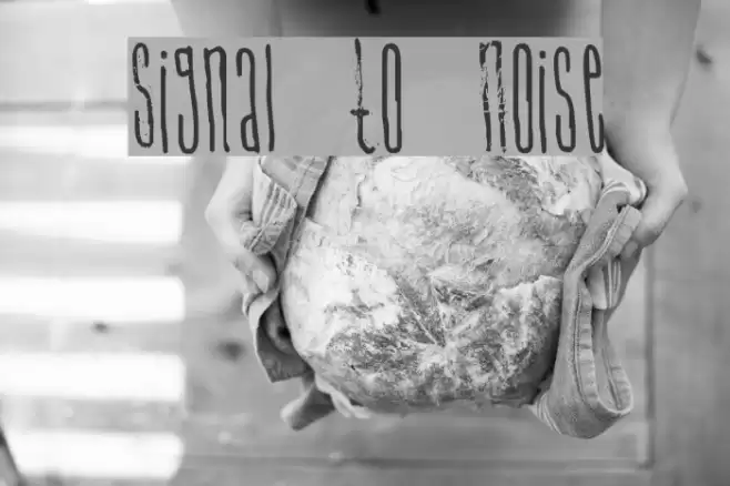 Signal To Noise Font examples