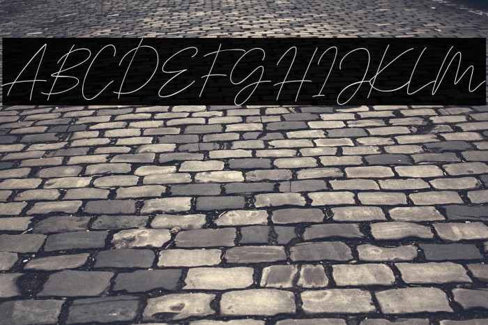 Signaline Script Example 1