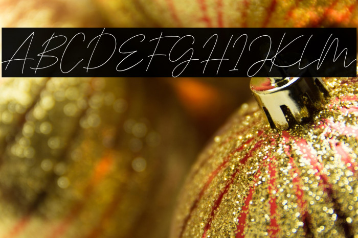 Signaline Script Example 2