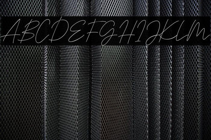 Signaline Script Example 3