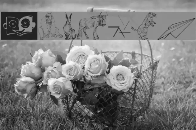 Signals Font examples