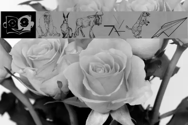 Signals Font examples