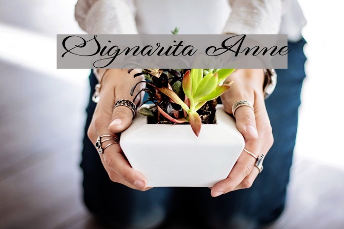 Signarita Anne Example 2