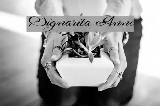 Signarita Anne Font examples