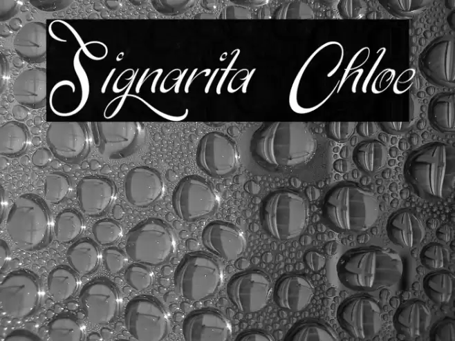 Signarita Chloe Font examples