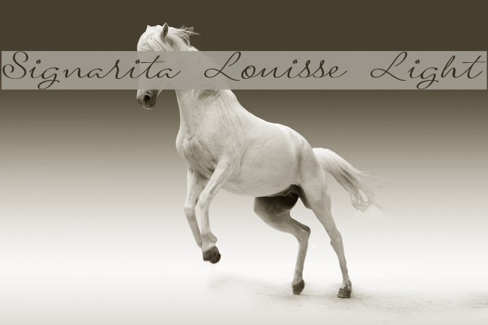 Signarita Louisse Light Font examples