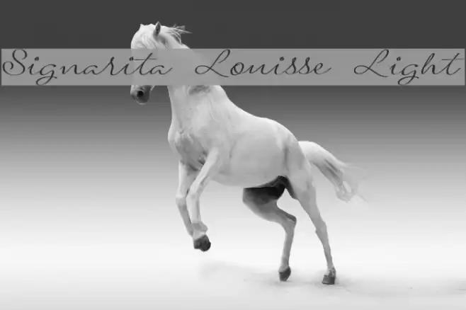 Signarita Louisse Light Font examples