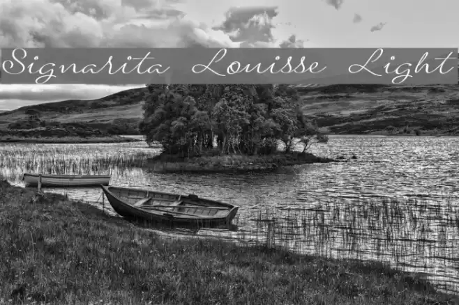 Signarita Louisse Light Font examples