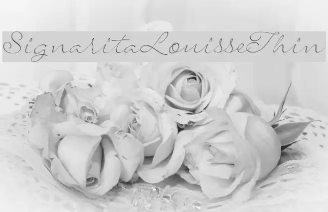 SignaritaLouisseThin Fonte examples