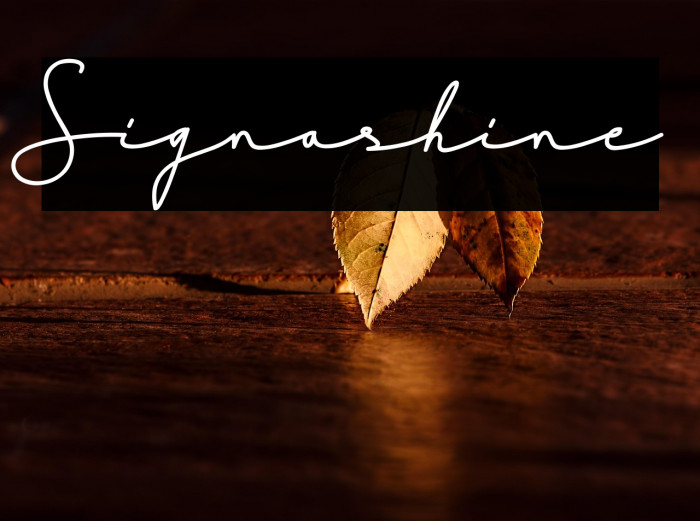 Signashine Example 3