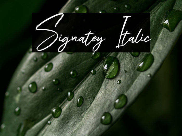 Signatey Italic Example 1