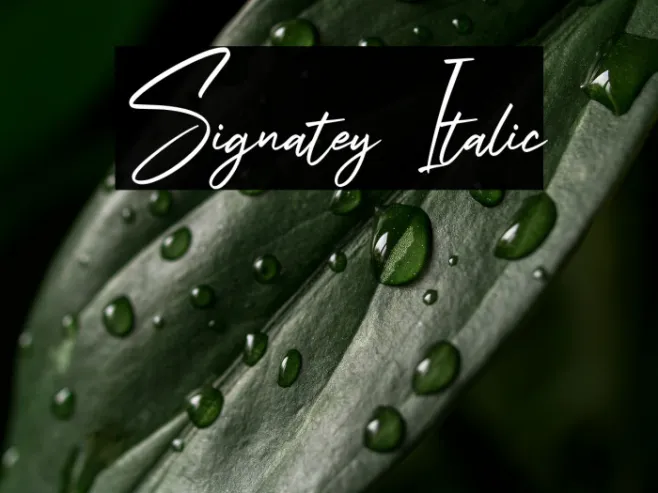 Signatey Italic Example 1
