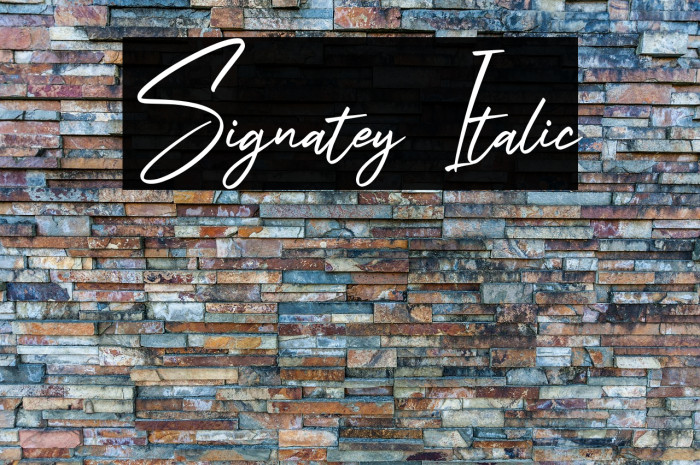 Signatey Italic Example 2