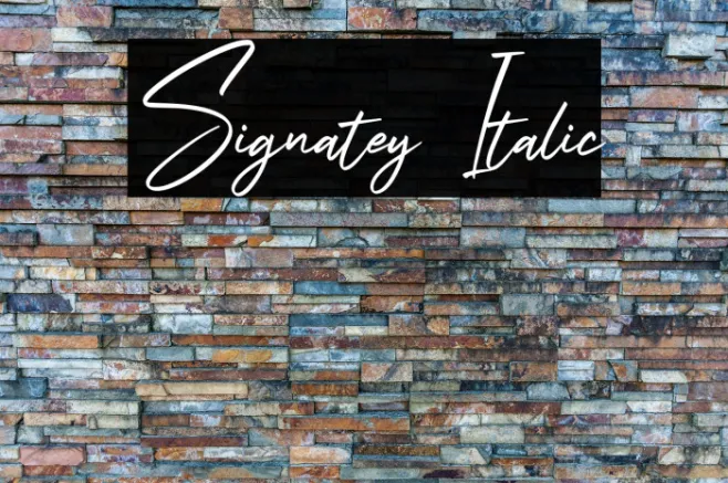 Signatey Italic Example 2