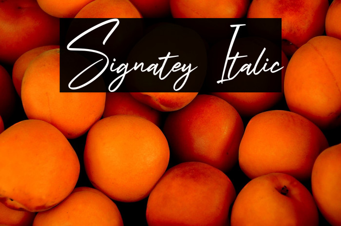 Signatey Italic Example 3