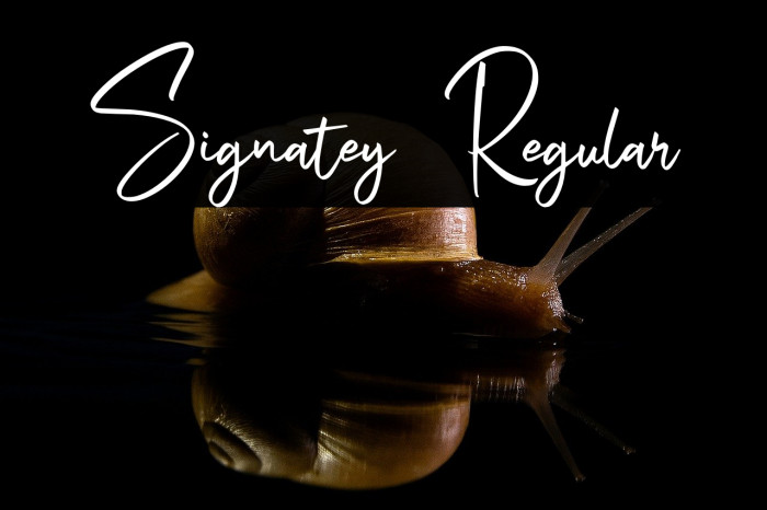 Signatey Regular Example 1