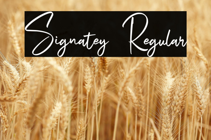 Signatey Regular Example 2