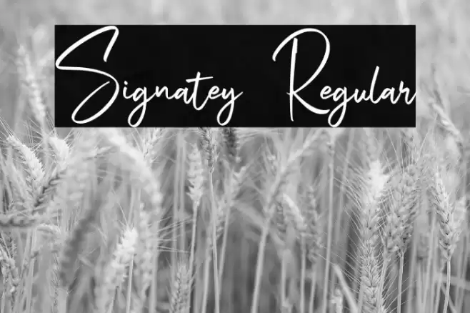 Signatey Regular Font examples