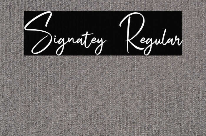 Signatey Regular Example 3