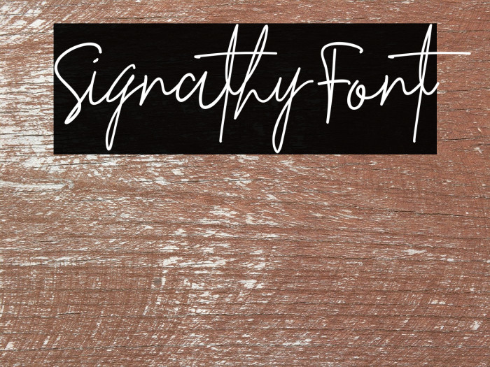 Signathy Font Example 1