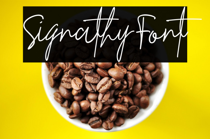 Signathy Font Example 2