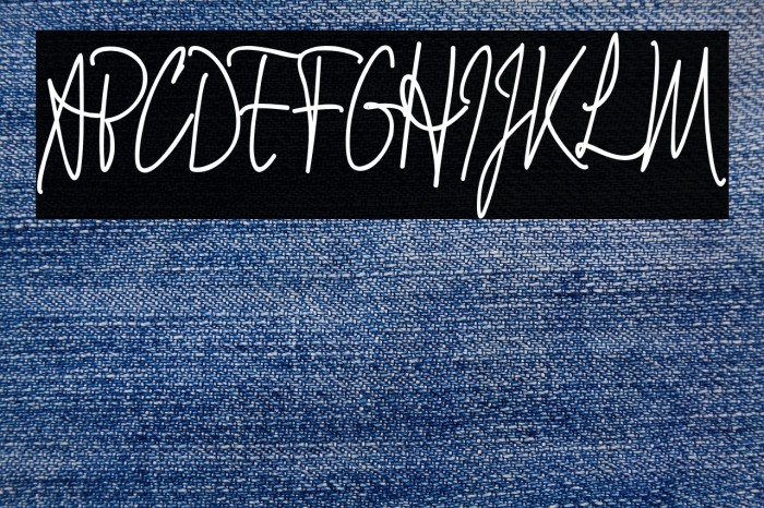 Signathy_Demo Example 2