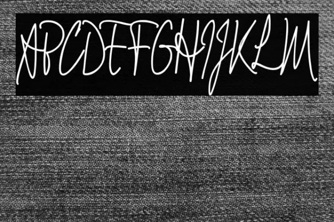 Signathy_Demo Font examples